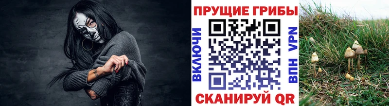 Псилоцибиновые грибы прущие грибы  наркошоп  Великие Луки 