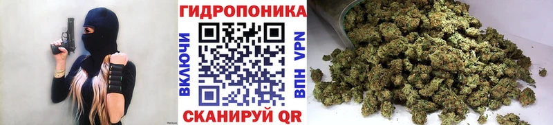Шишки марихуана план Великие Луки